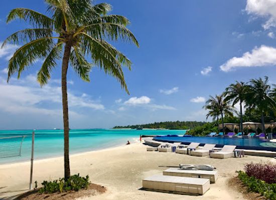 maldives/thaa-atoll/restaurant/blu-niyama-private-islands-maldives