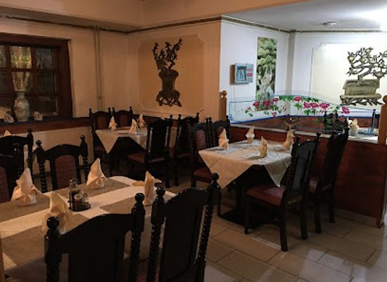 slovenia/celje/restaurant/kitajska-restavracija-dva-zmaja