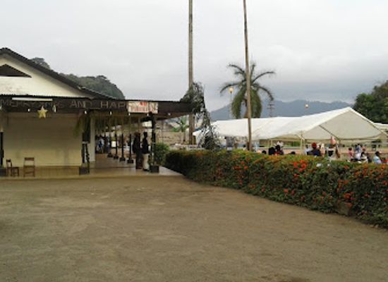 cameroon/south-west-region/restaurant/bota-s-s-club