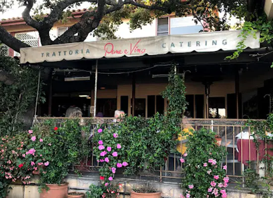 california/santa-barbara/montecito/restaurant/pane-e-vino-trattoria
