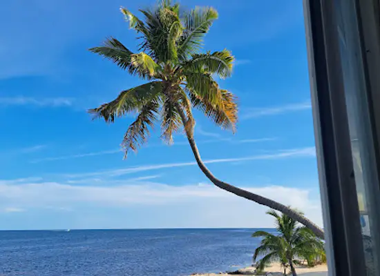 florida/florida-keys/restaurant/hideaway-cafe