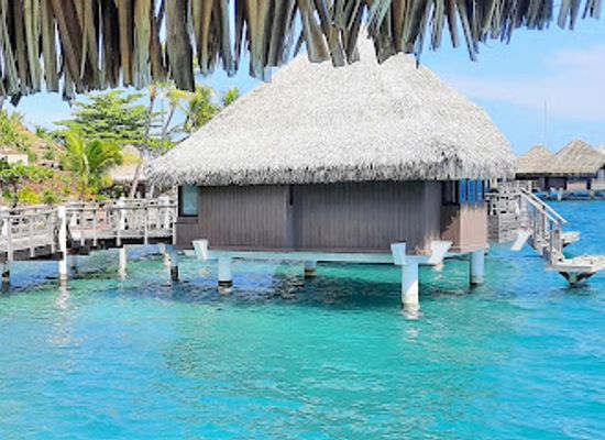 french-polynesia/windward-islands/restaurant/le-lotus