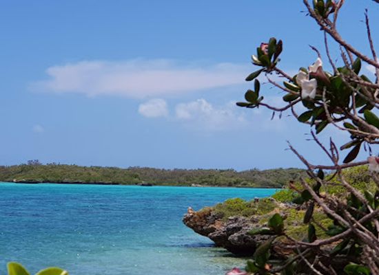 new-caledonia/ouvea-island/restaurant/soleil-levant