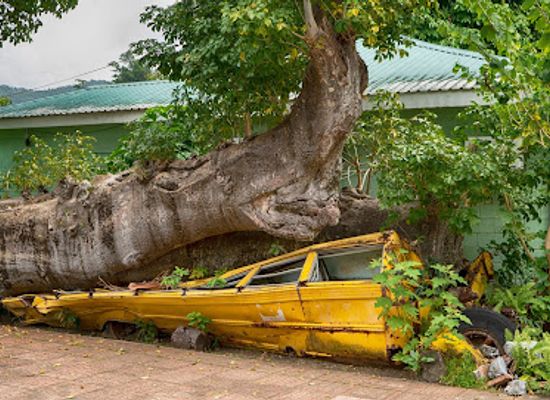 dominica/roseau/restaurant/botanical-gardens-gazebo