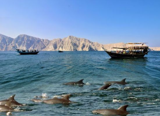 oman/musandam-peninsula/restaurant/fanr-musandam-turkish-restaurant
