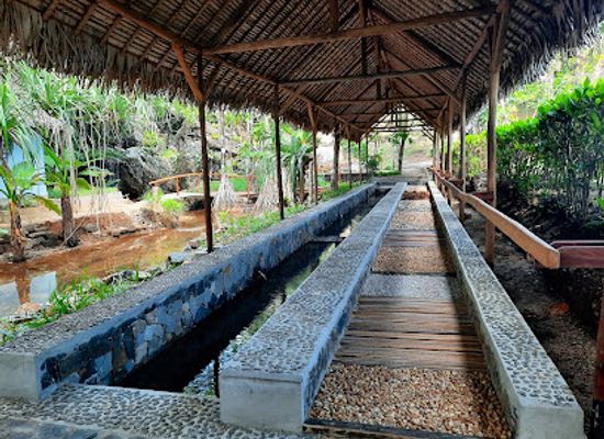 madagascar/analanjirofo/restaurant/natiora-green-lodge