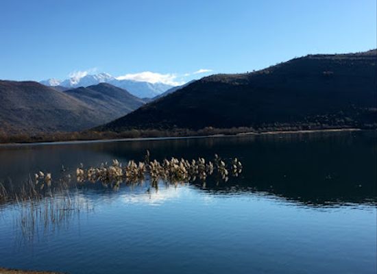 montenegro/lake-skadar/restaurant/bar-restorant-relax