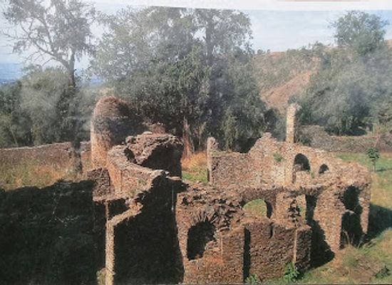 ethiopia/gondar/restaurant/mintiwab