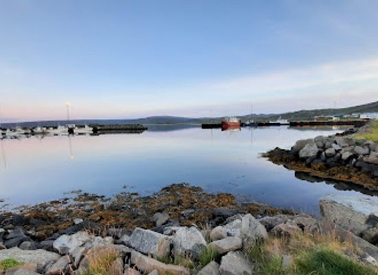 iceland/dynjandi-waterfall/restaurant/cafe-riis-holmavik-restaurant-pizzeria-bar