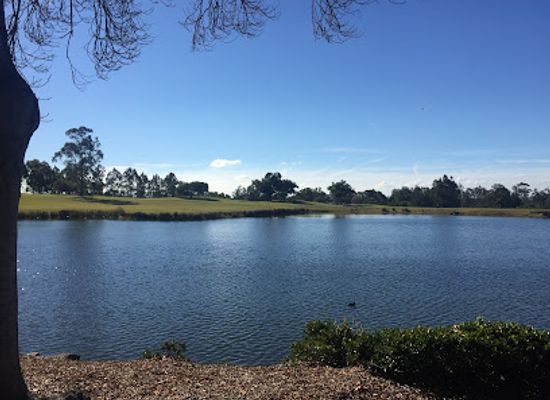 florida/tampa-bay-area/restaurant/big-cypress-grill-restaurant-tavern