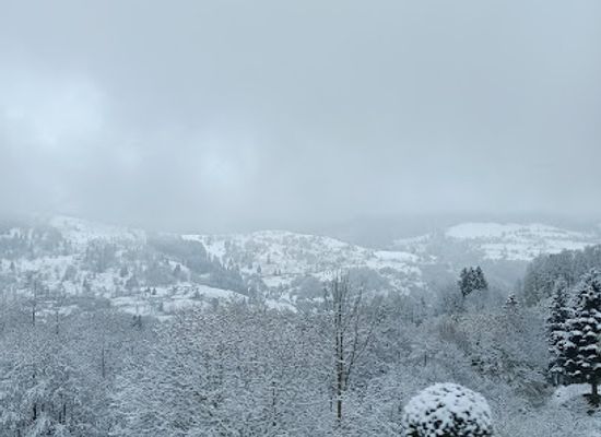 france/vosges-mountains/restaurant/auberge-du-dahu