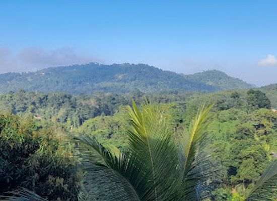 sri-lanka/hill-country/restaurant/mountain-hills