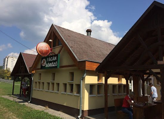 hungary/salgotarjan/restaurant/facan-sorozo