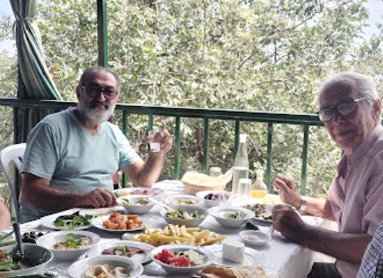 lebanon/south-lebanon/restaurant/al-mazar