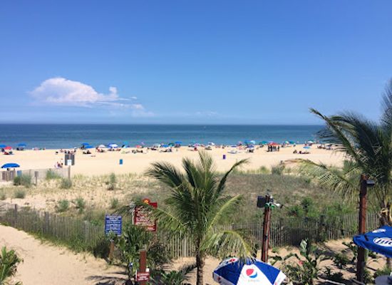 maryland/eastern-shore/restaurant/wahoo-beach-bar-grill