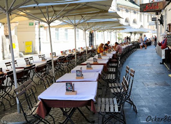 slovenia/southeast-slovenia/restaurant/gostilna-sokol