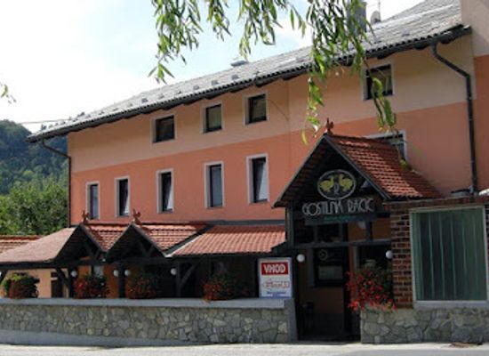 slovenia/zasavje/restaurant/racic-martin-s-p-gostilna-racic