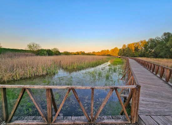 croatia/kopacki-rit-nature-park/restaurant/kopacki-rit-nature-park