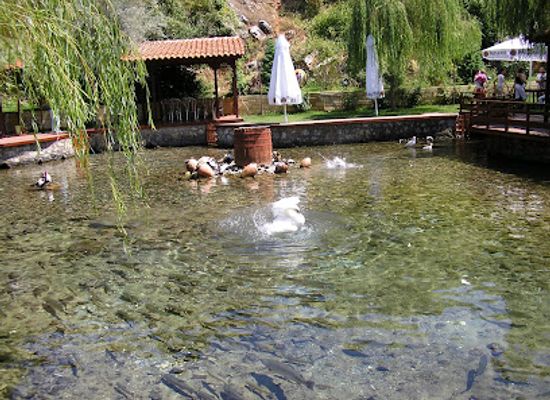 albania/korce-region/restaurant/rritja-e-koranit