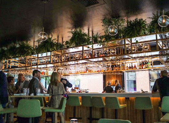 south-carolina/upstate/restaurant/camp-modern-american-eatery