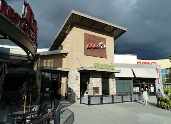 washington/kent/restaurant/agave-cocina-cantina
