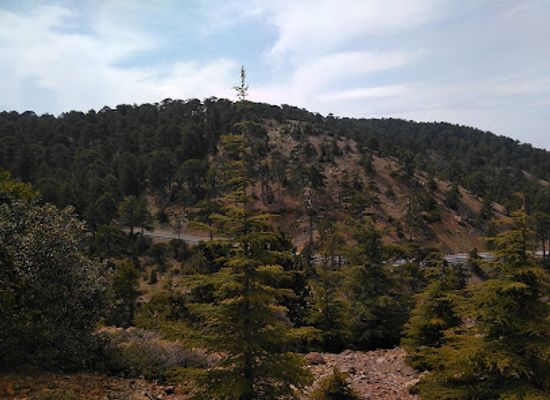 cyprus/troodos-national-forest-park/restaurant/dolphin-cafe-restaurant