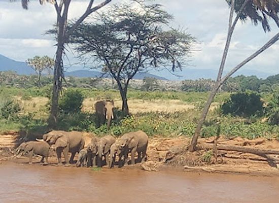kenya/shaba-national-reserve/restaurant/buffalo-springs-national-reserve