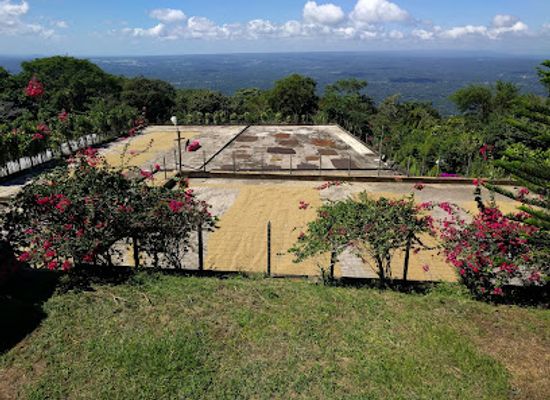 nicaragua/mombacho-volcano/restaurant/cafe-las-flores