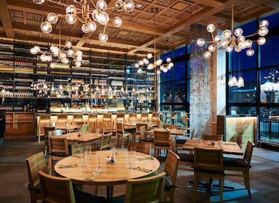 illinois/champaign/restaurant/naya-indian-cuisine