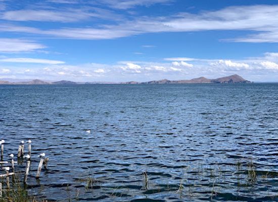 bolivia/lake-titicaca-basin/restaurant/restaurante-inti-raymi