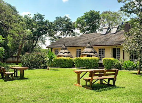 zimbabwe/chinhoyi/restaurant/zebras-dazzle-bed-breakfast-restaurant