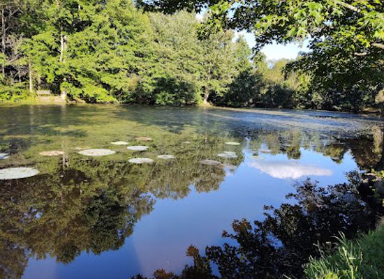 delaware/white-clay-creek-state-park/restaurant/judge-morris-estate-white-clay-creek-state-park