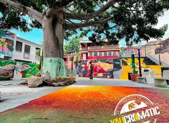puerto-rico/ponce-region/restaurant/placita-pablo-el-negro