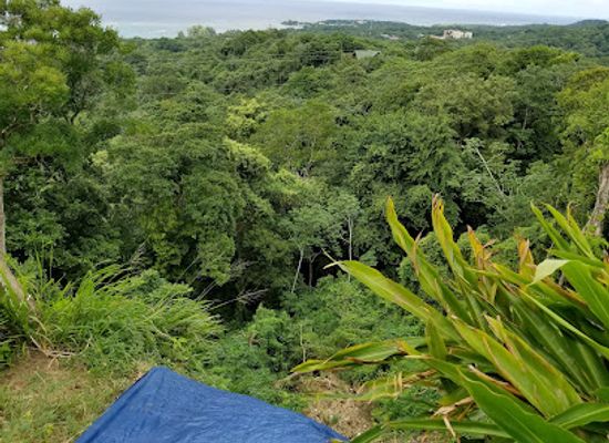 belize/cockscomb-basin-wildlife-sanctuary/restaurant/the-wet-lizard