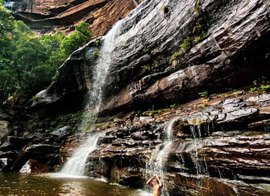 australia/blue-mountains-national-park/restaurant/fed-blue-mountains