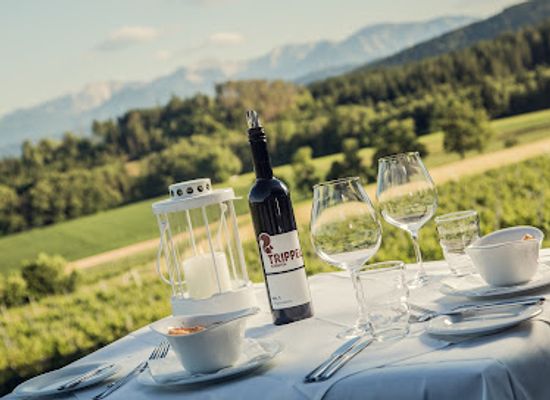austria/gurktal/restaurant/trippelgut-essgut