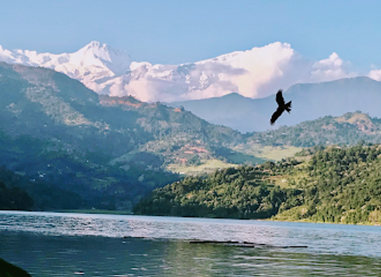 nepal/western-development-region/restaurant/sanu-lake-on-d-water