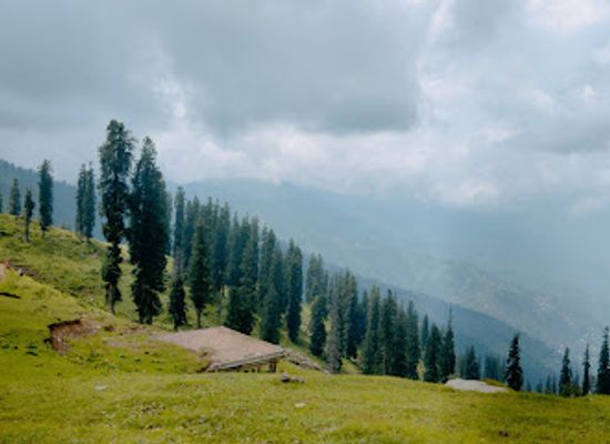 pakistan/azad-jammu-and-kashmir/restaurant/pak-kashmir-restaurant
