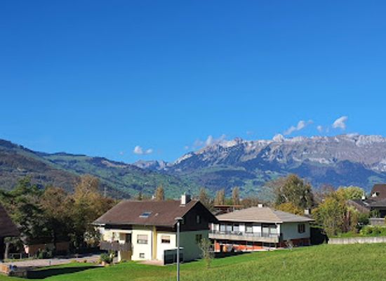 liechtenstein/triesen-region/restaurant/red-mango-thai-takeaway