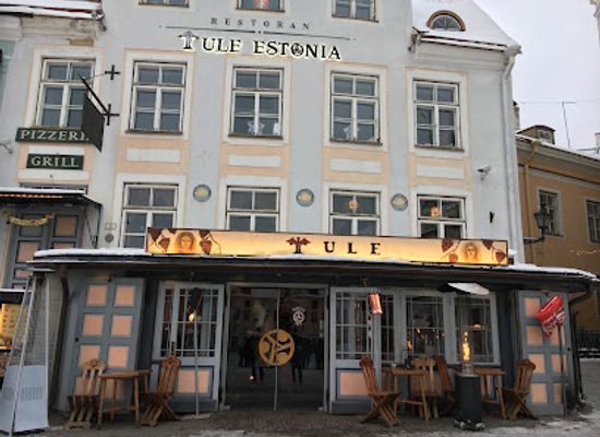 estonia/harju-county/restaurant/tule-estonia-restaurant