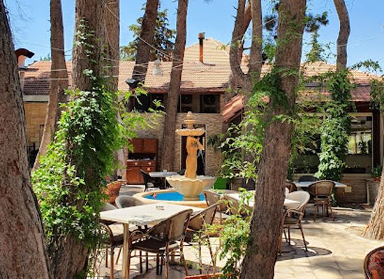 lebanon/baalbek/restaurant/ananas-restaurant-cafe