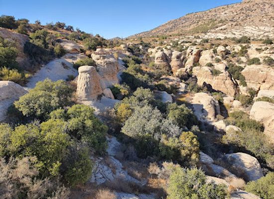 jordan/dana-biosphere-reserve/restaurant/dana-reserve
