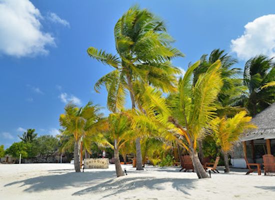 maldives/vaavu-atoll/restaurant/restaurant