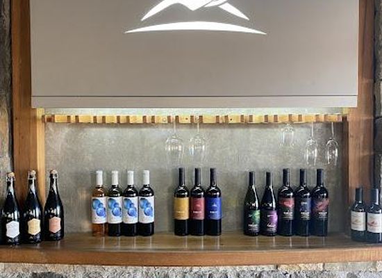 argentina/cuyo/restaurant/bodega-caelum