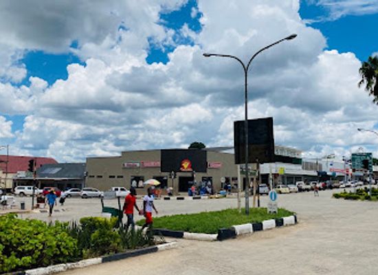 zimbabwe/masvingo/restaurant/chicken-slice