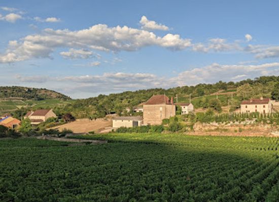 france/burgundy-vineyards/restaurant/restaurant-prosper