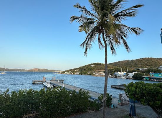puerto-rico/culebra-island/restaurant/la-cocina-del-navegante