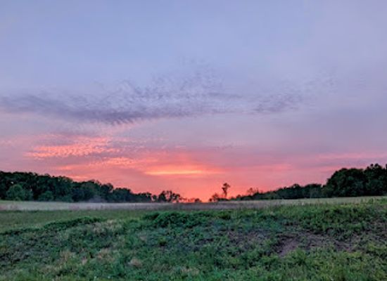 delaware/white-clay-creek-state-park/restaurant/white-clay-creek-state-park-nine-foot-road-parking-lot
