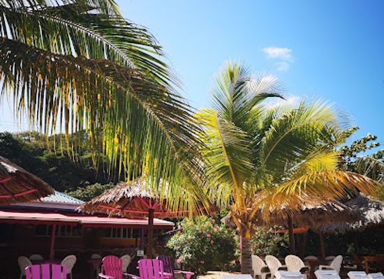 saint-vincent-and-the-grenadines/grenadines/restaurant/sparrow-s-beach-club