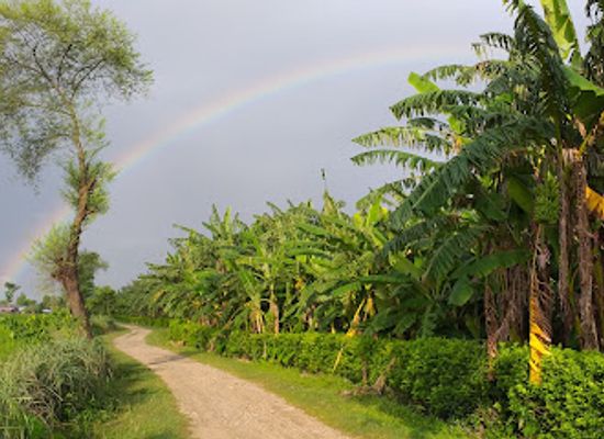 nepal/far-western-development-region/restaurant/rani-mahal-bananas-agro-resort